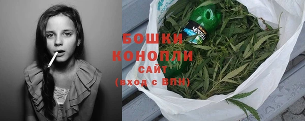 apvp Богданович