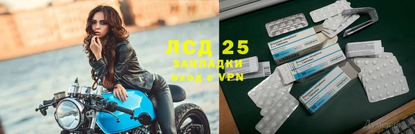 apvp Богданович
