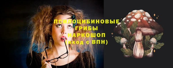 apvp Богданович