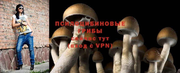 mdpv Богородицк